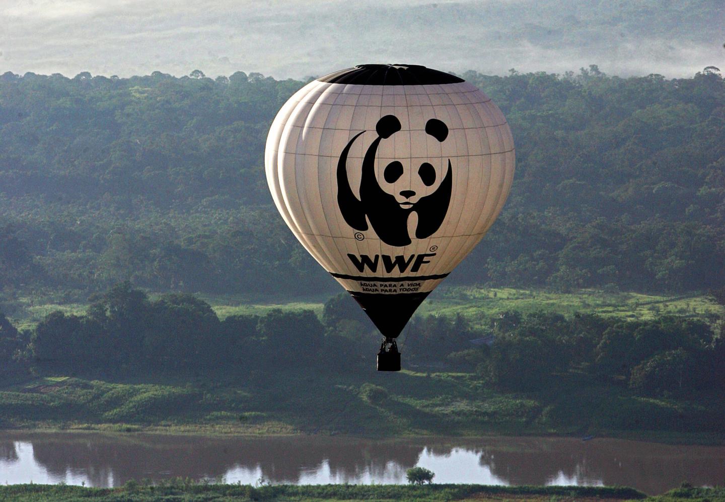 World Wildlife Fund balloon flies over t