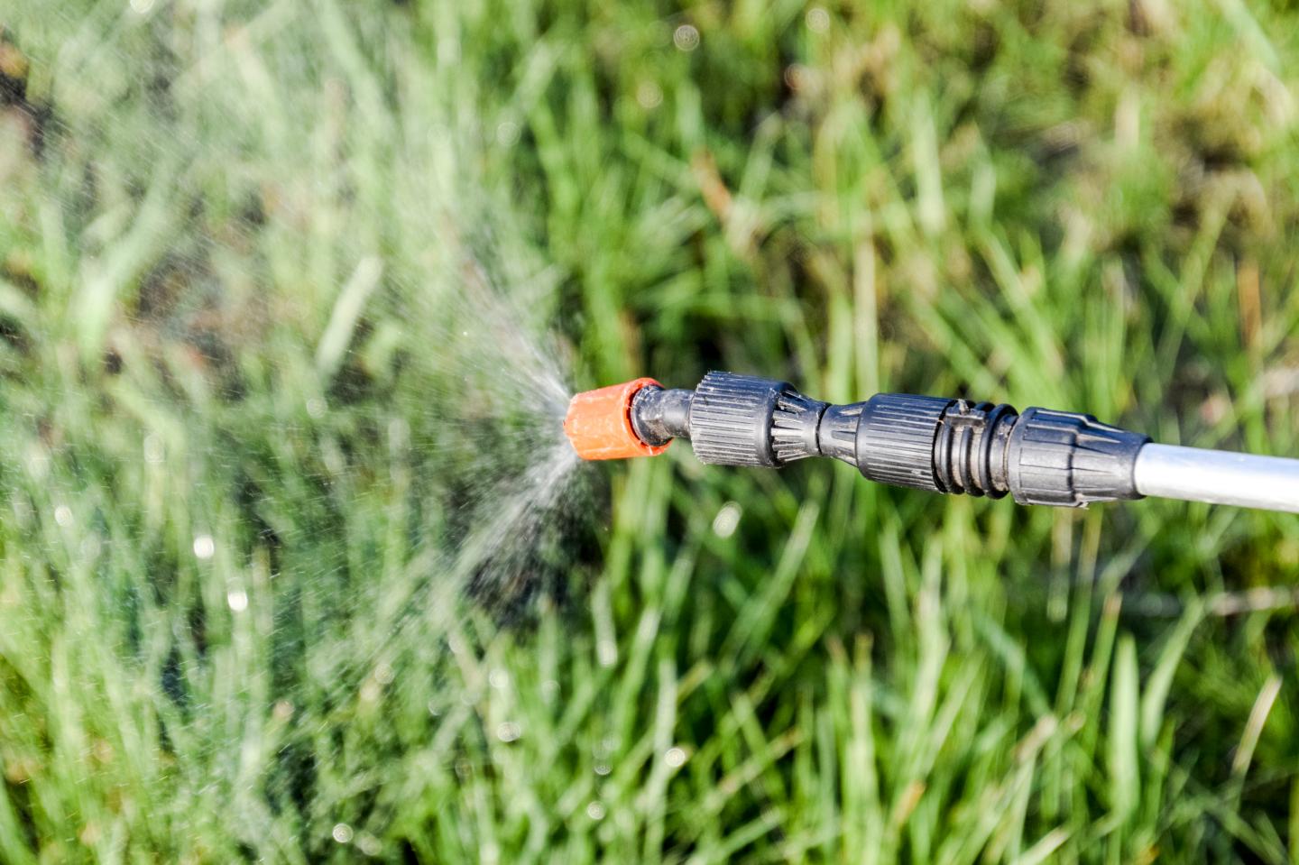 Spraying herbicide from the nozzle of the sprayer manual