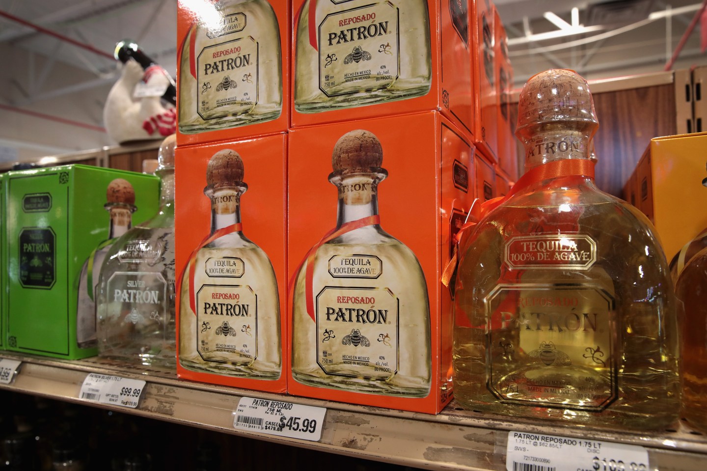 Patrón