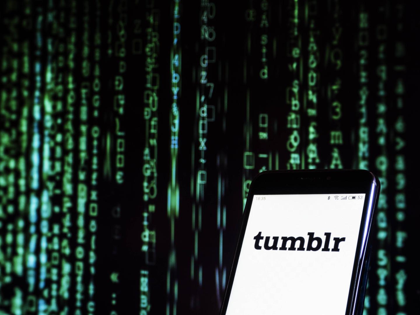 Tumblr social networking website seen displayed on a smart