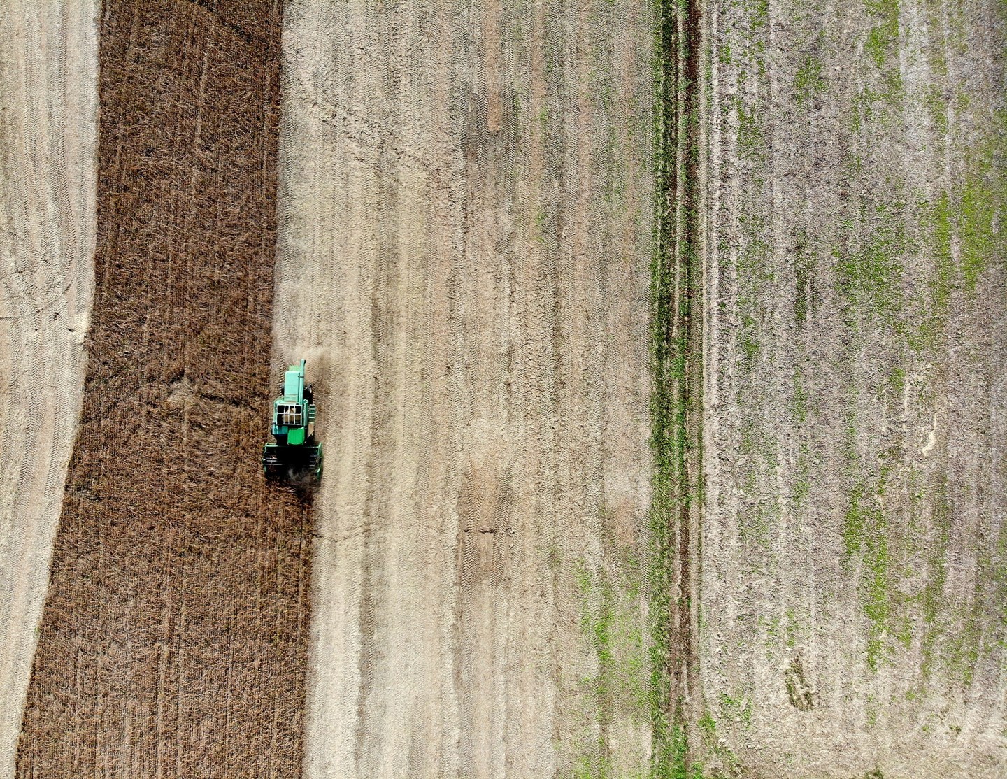 Soybean Harvested In Maryland