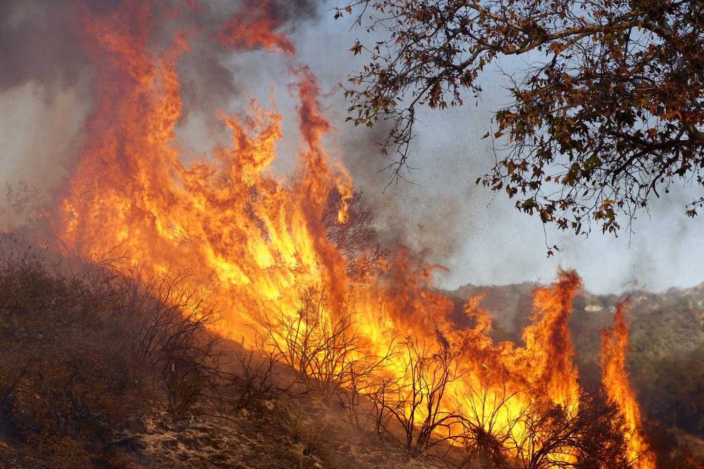 Woolsey Fire