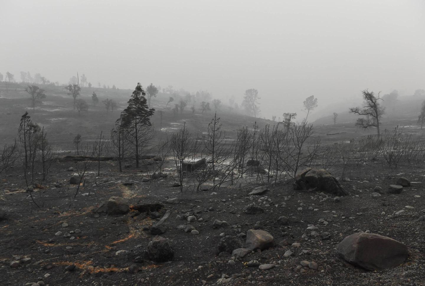 California Wildfires
