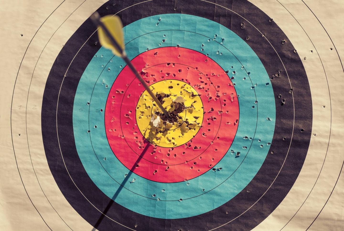 Archery target with arrow in the centre