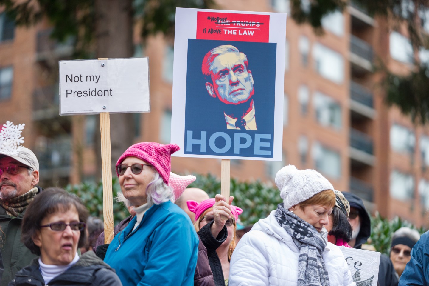 NEWS: JAN 20 Portland's National March for Impeachment