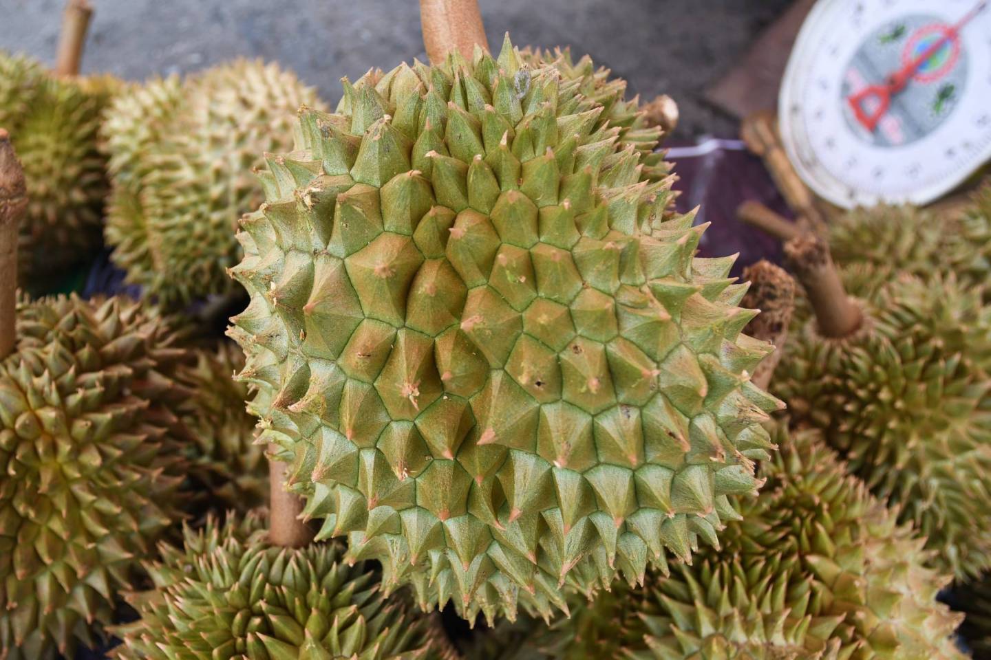 Durian