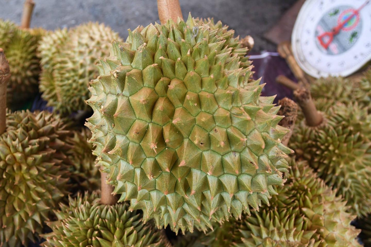 Durian