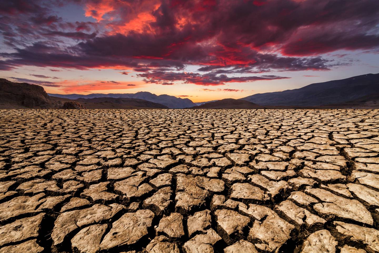 Sunset over cracked soil in the desert. Global warming