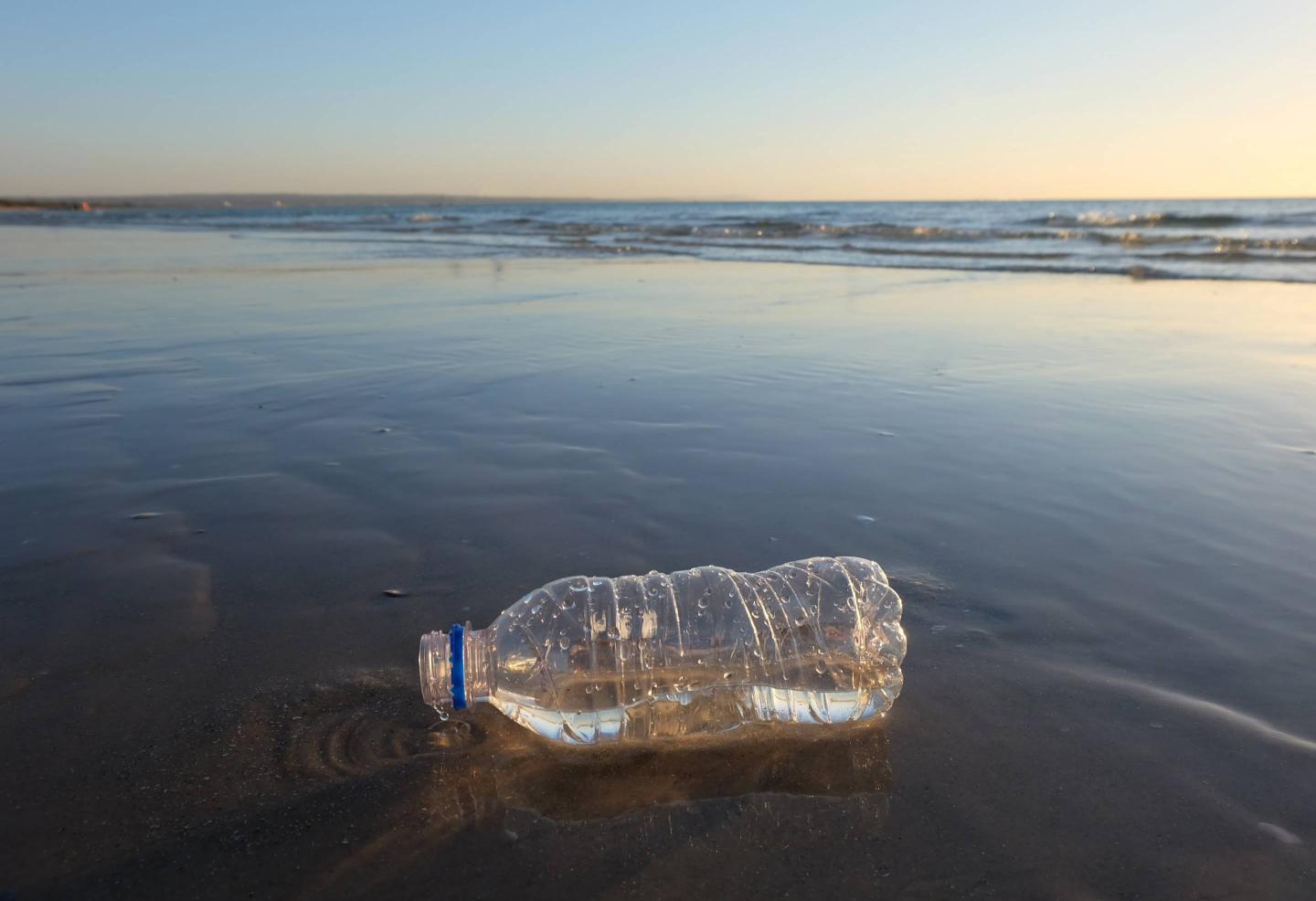 plastic bottle on beach