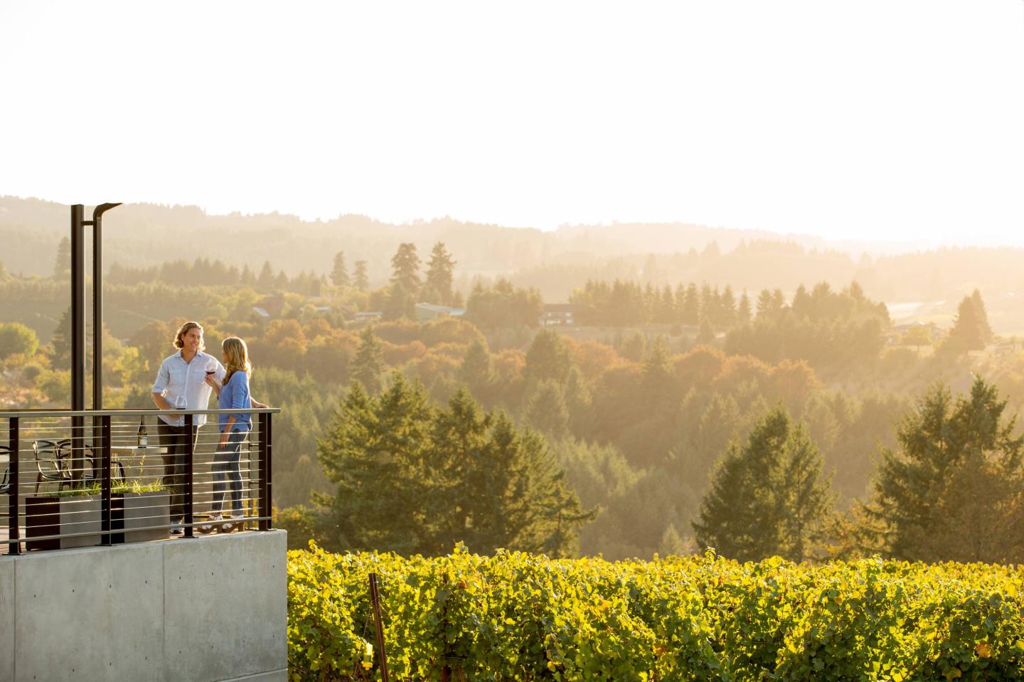 Holiday Gift Guide 2018: Wines
