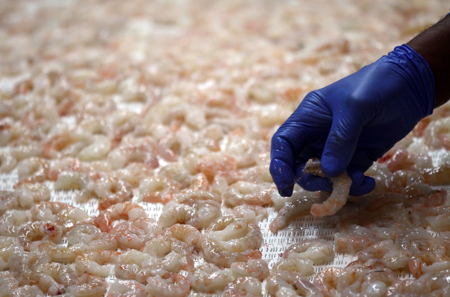 Commerce Secretary Locke Visits Gulf To Inspect State Of Seafood Industry