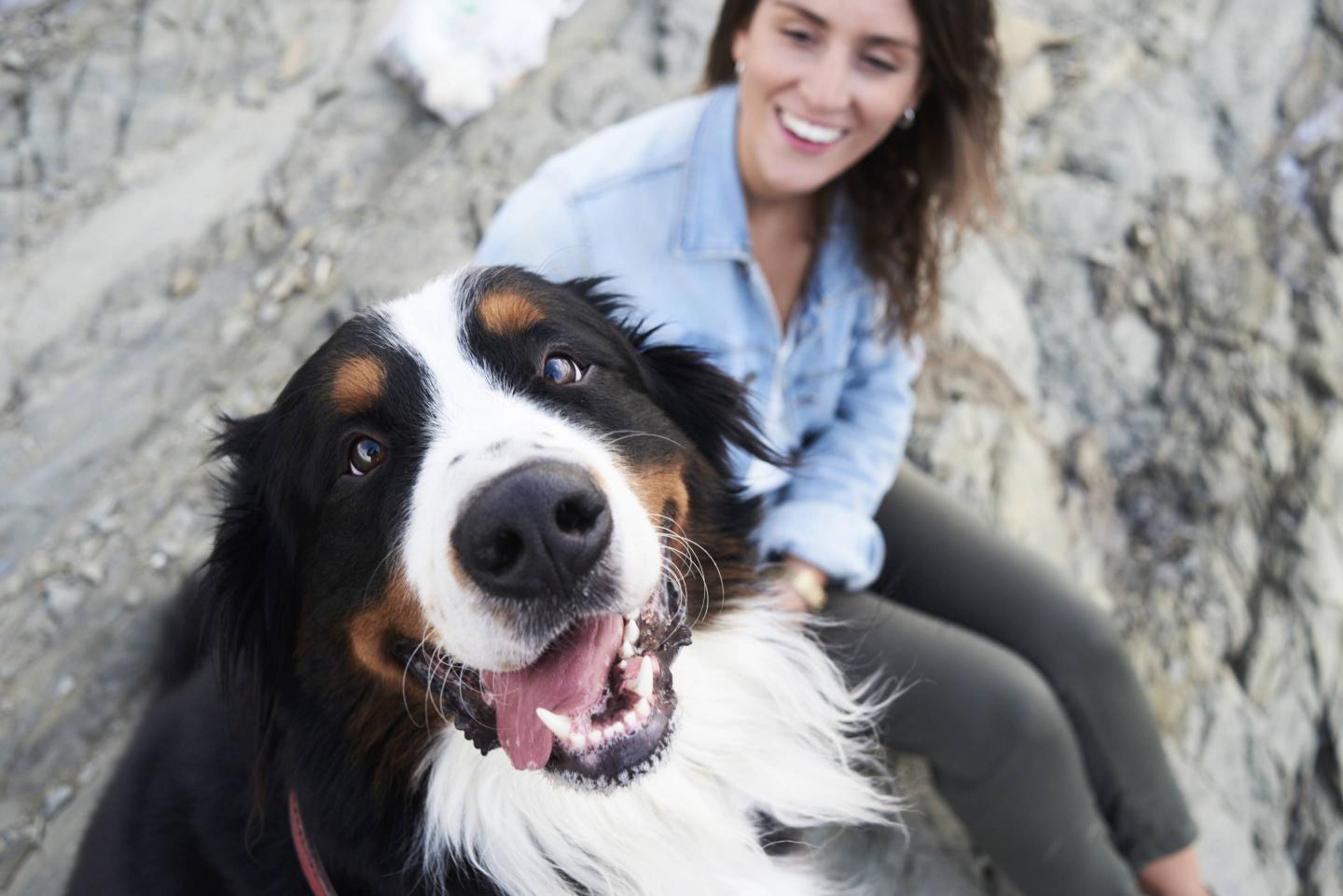 dog and cat meat outlawed