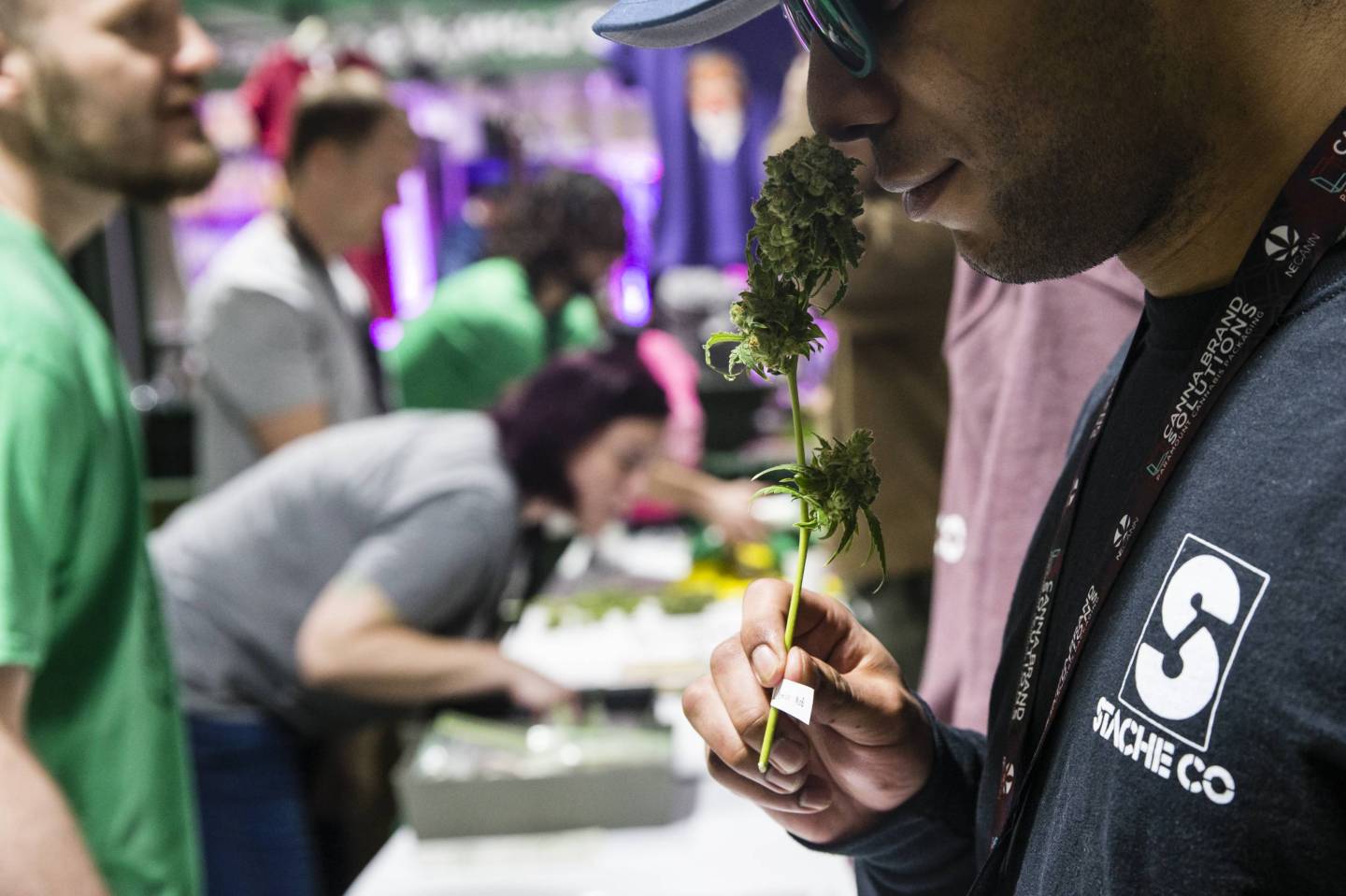 4th Annual New England Cannabis Convention