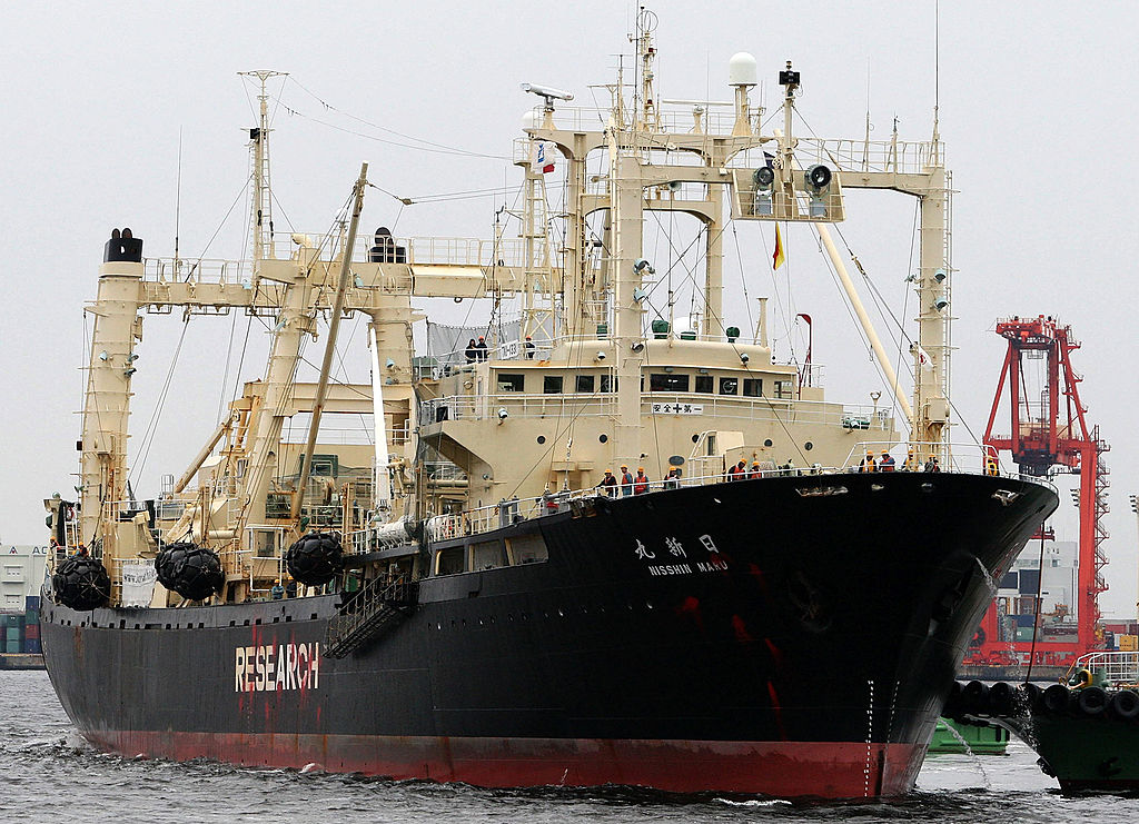 Researchi Whaling Fleets Returns Home Ports