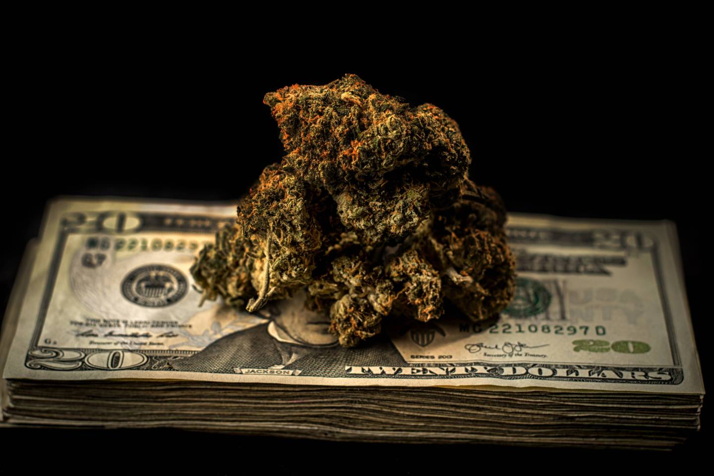 Marijuana on stack of $20