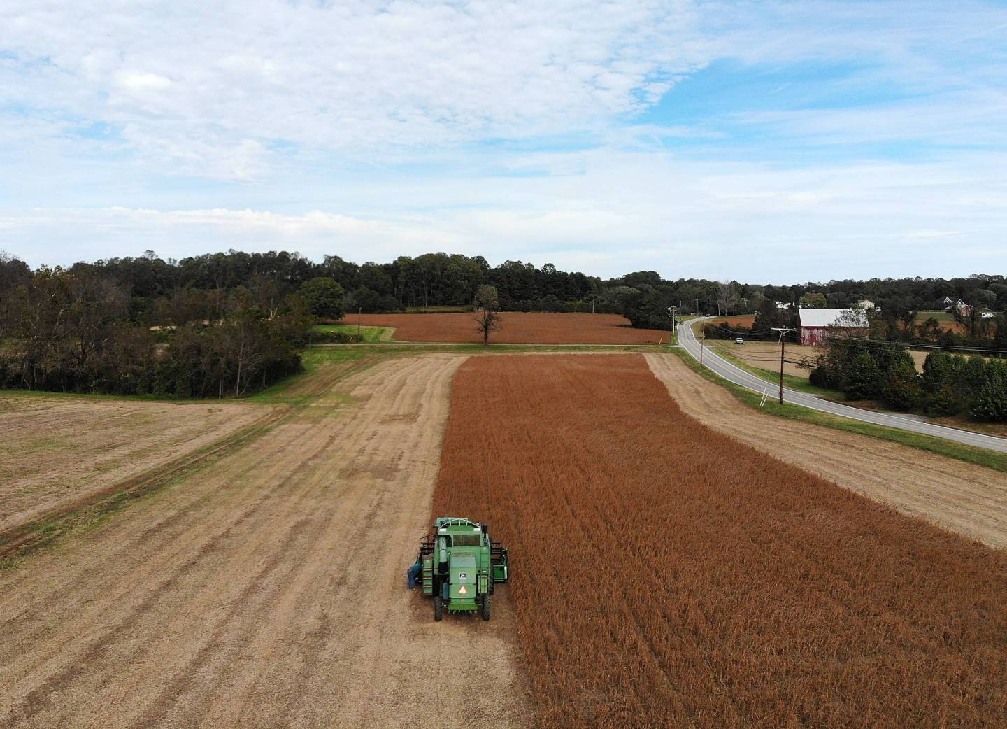 Soybean Harvested In Maryland