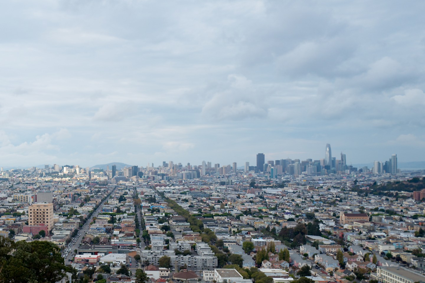 San Francisco Aerial