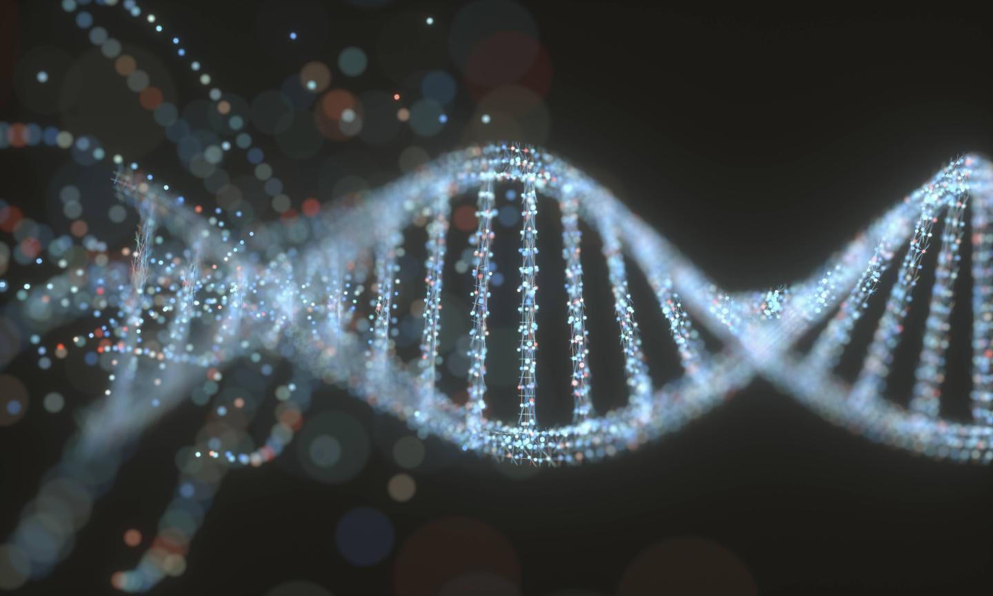 New genomic sequencing