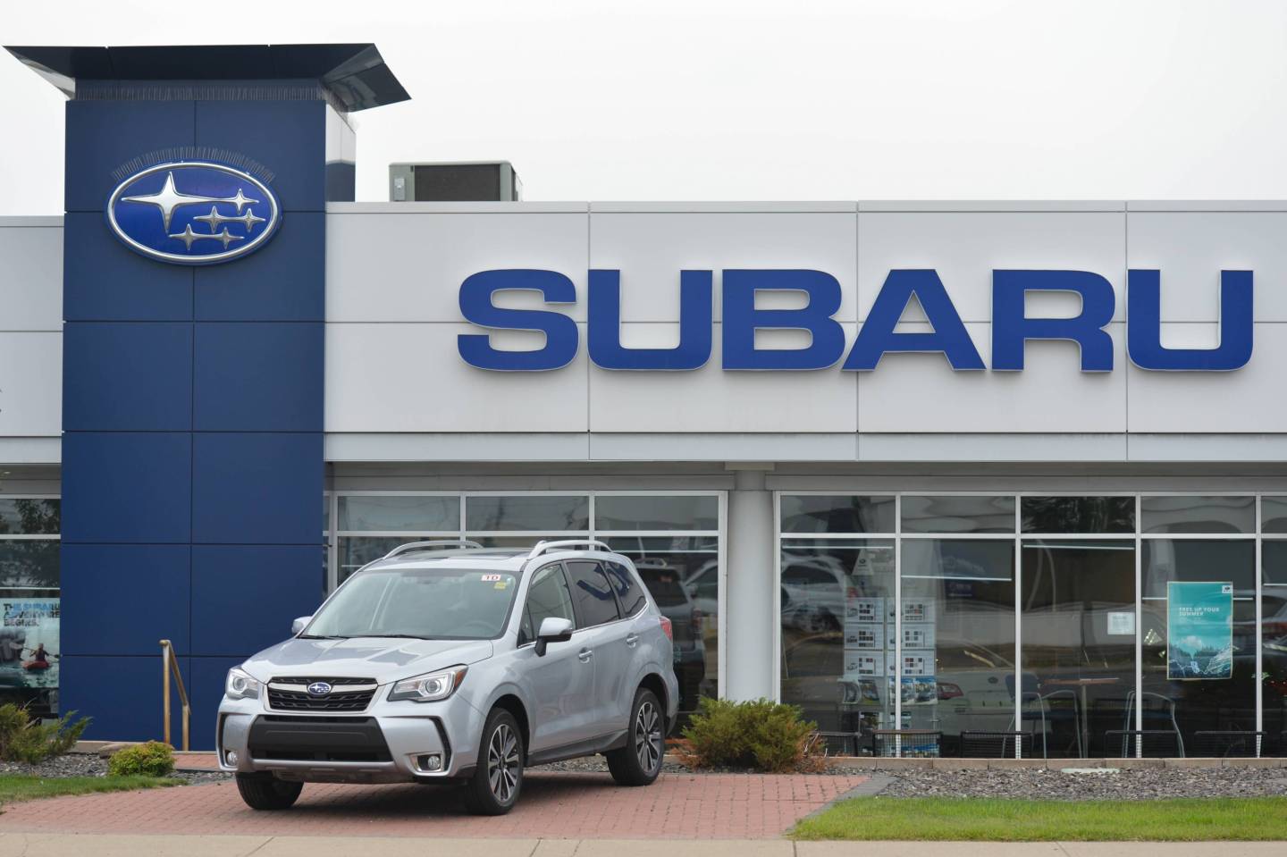 Business Logos in Edmonton