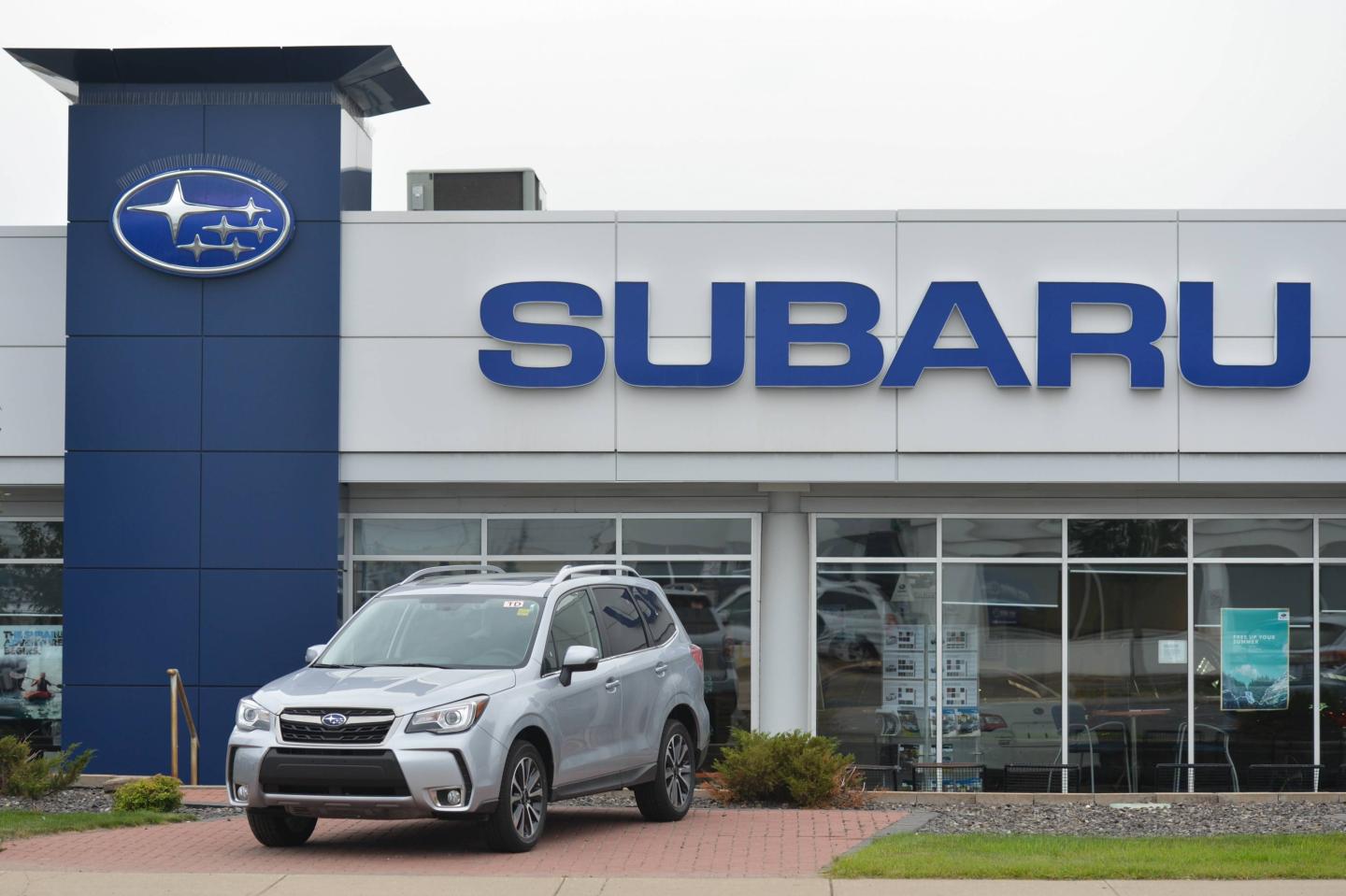 Business Logos in Edmonton