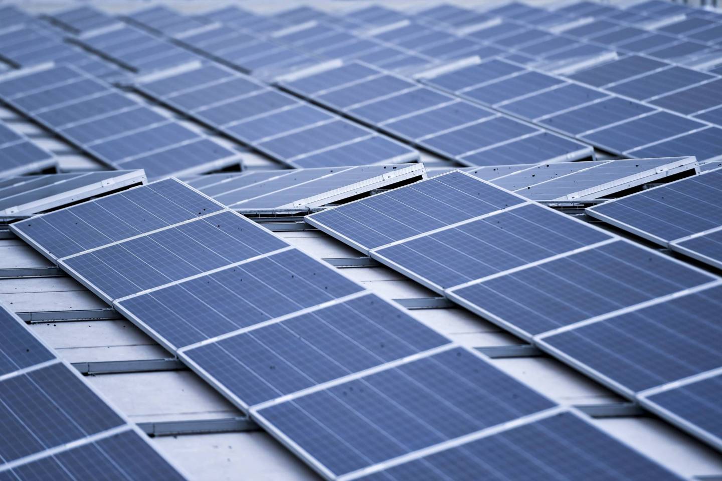 ECONOMY TURNHOUT OPENING DISTRIBUTION CENTER ALDI