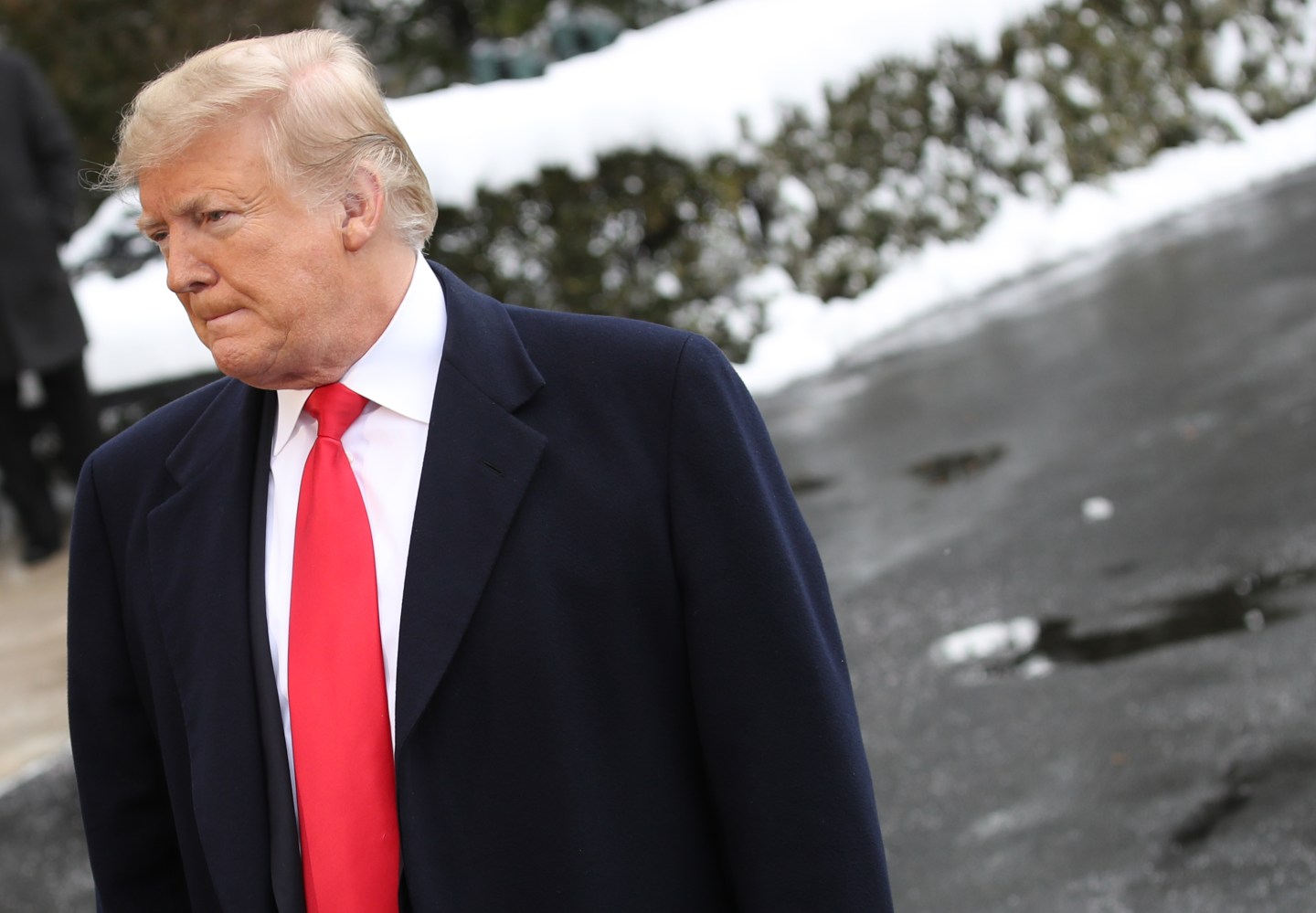 President Donald Trump