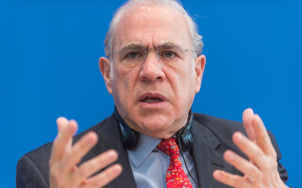 Economic Report Of Germany From OECD