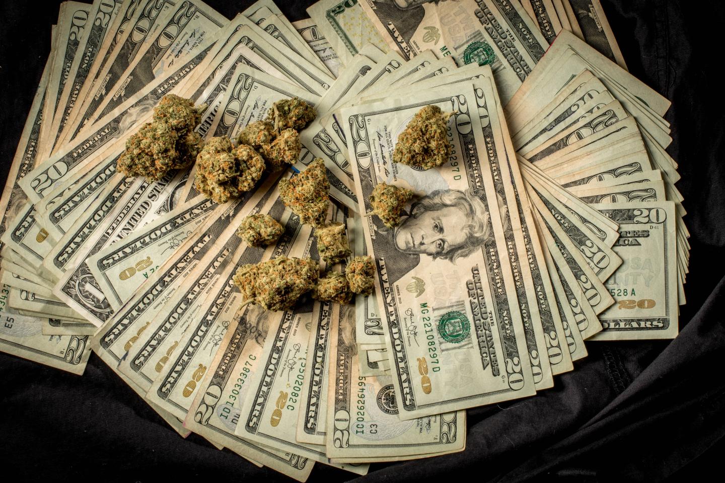Lots of marijuana on stacks of $20