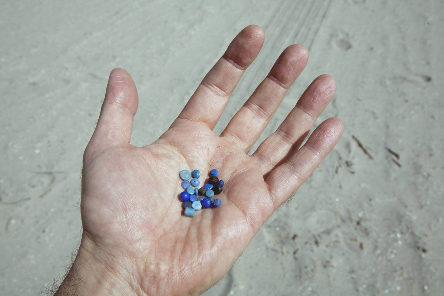 Nurdles are pre-production plastic pellets and resin materials typically under 5mm in diameter. When released during the transport, packaging, and processing of plastics, these materials find their way to coastal waterways and oceans and frequently e