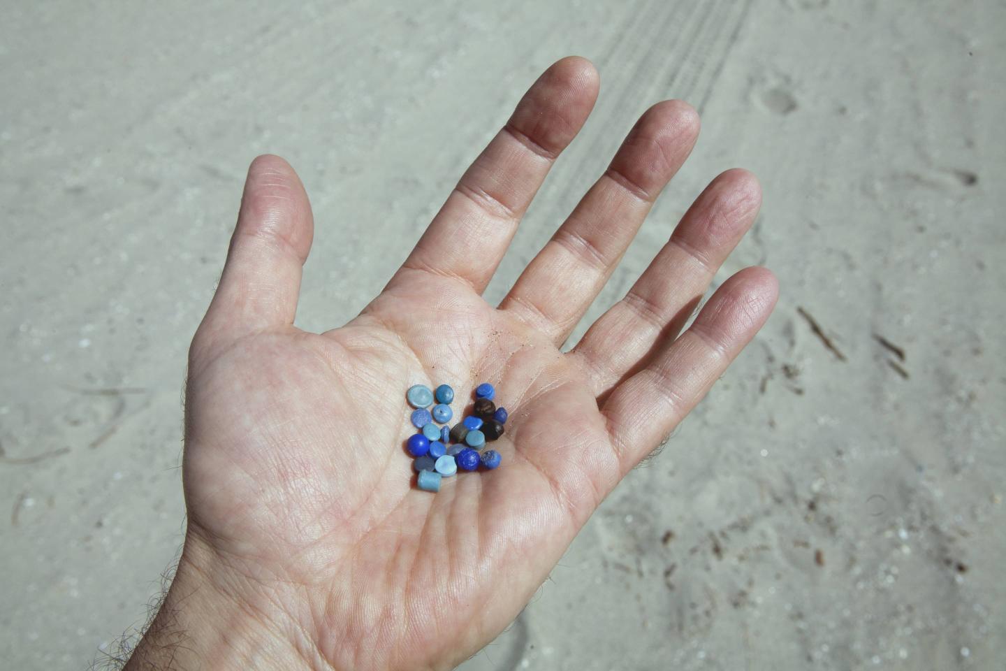 Nurdles are pre-production plastic pellets and resin materials typically under 5mm in diameter. When released during the transport, packaging, and processing of plastics, these materials find their way to coastal waterways and oceans and frequently e
