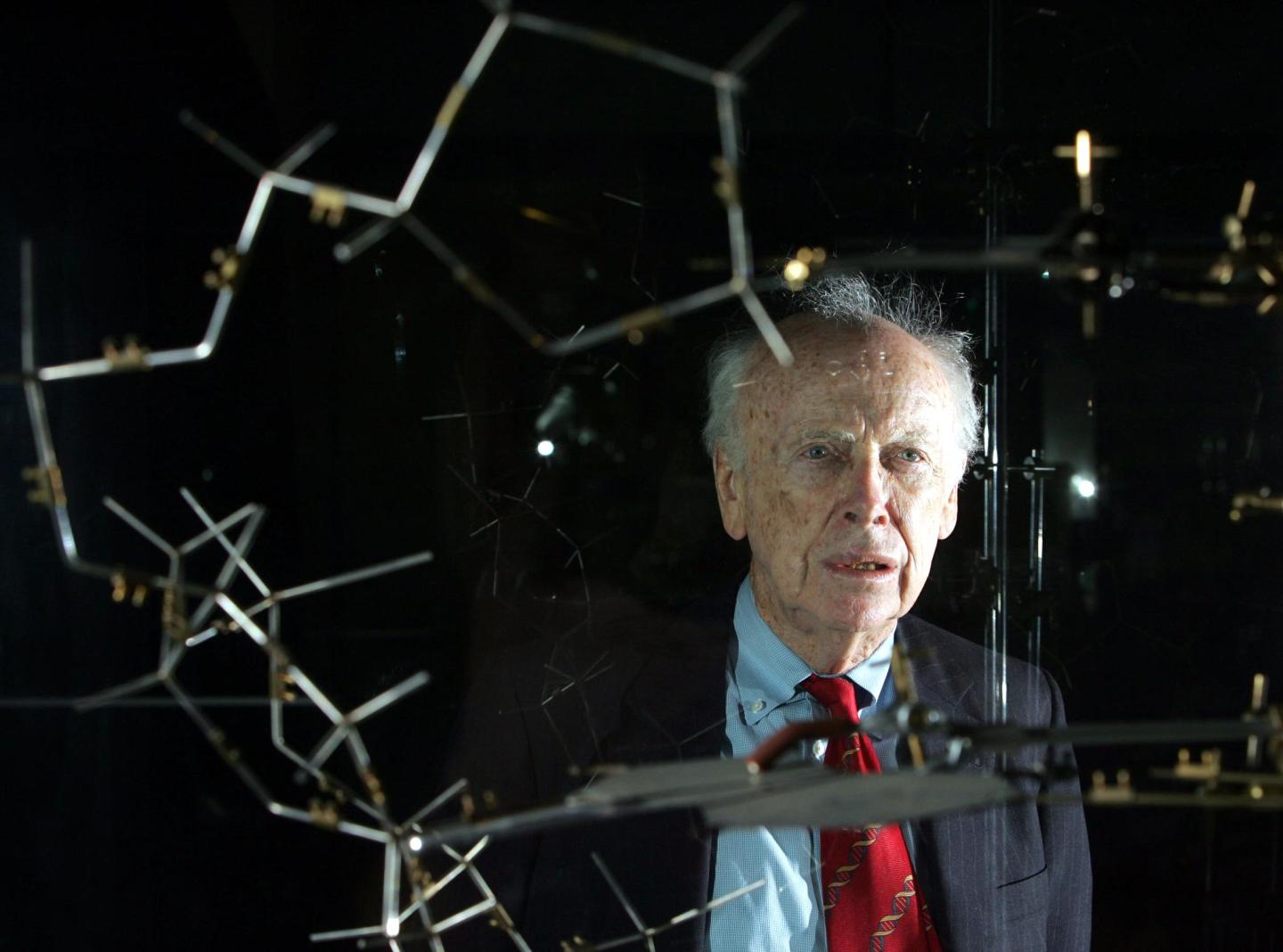 Dr. James Watson poses with the original DNA model.