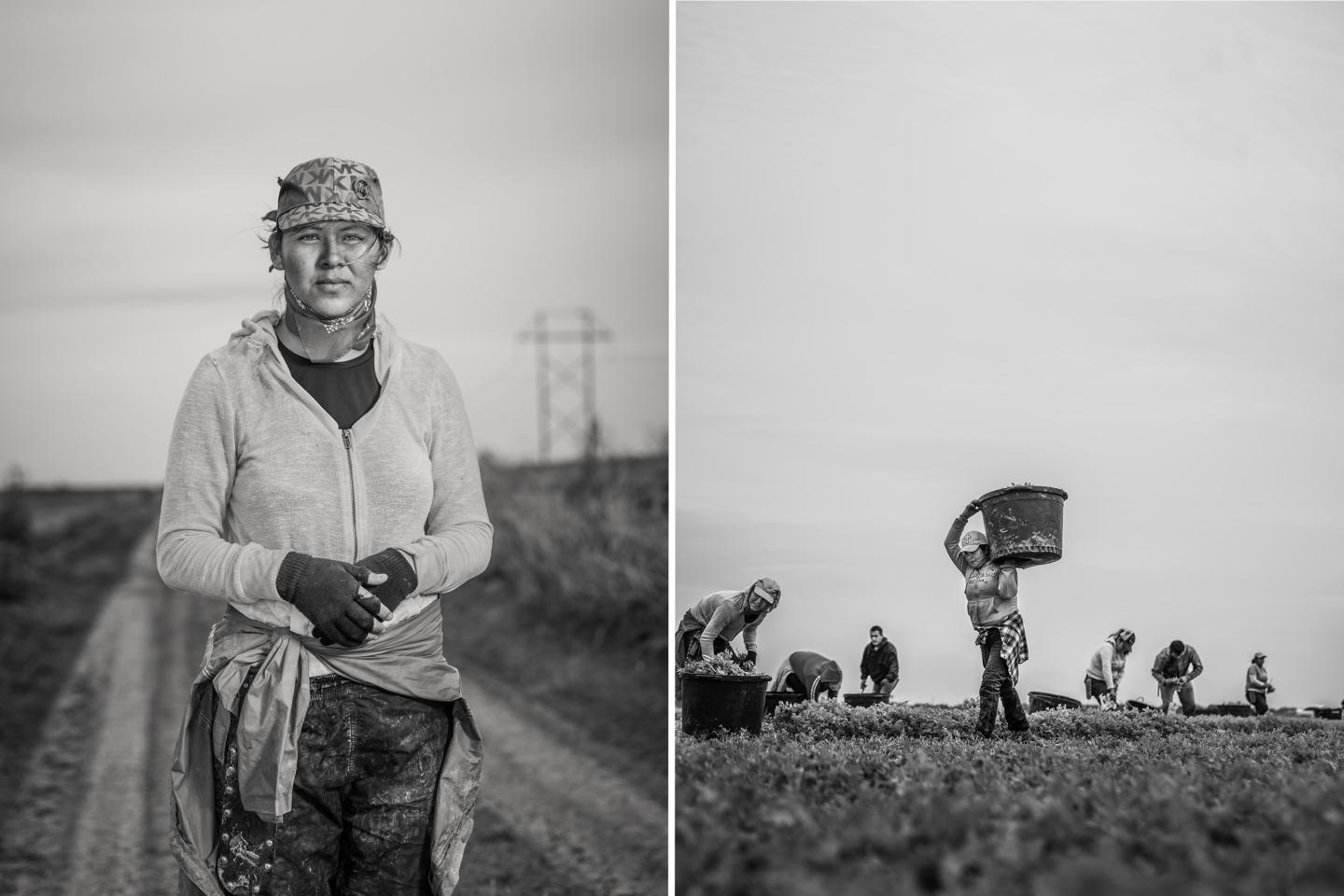 raceAhead: The True Cost of Cheap Food