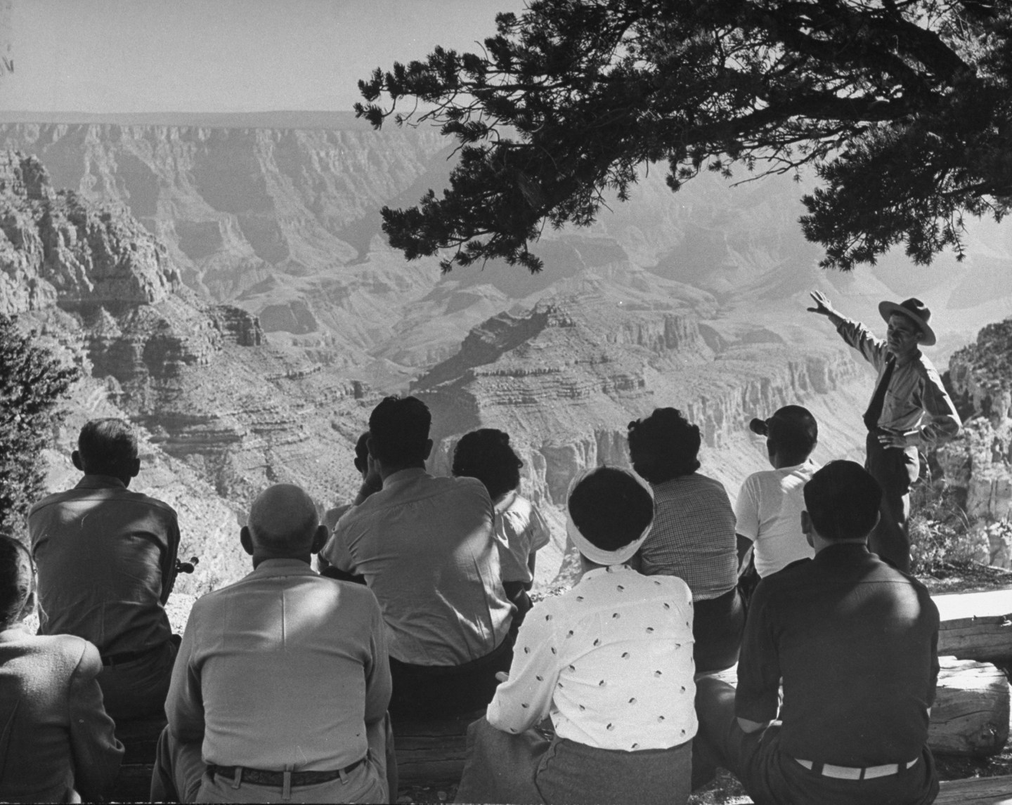 An unidentified ranger at the Grand Cany