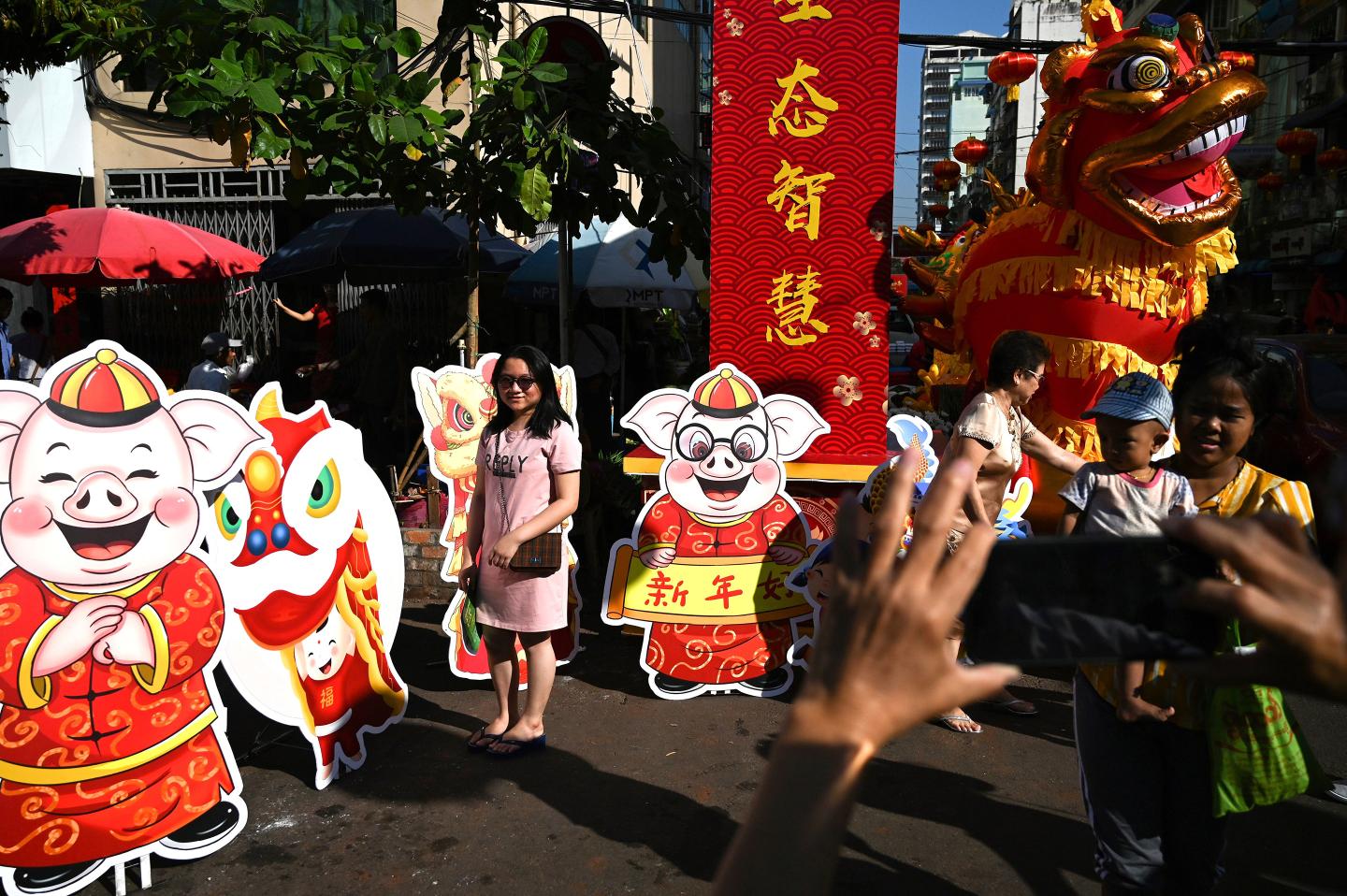 chinese new year pig