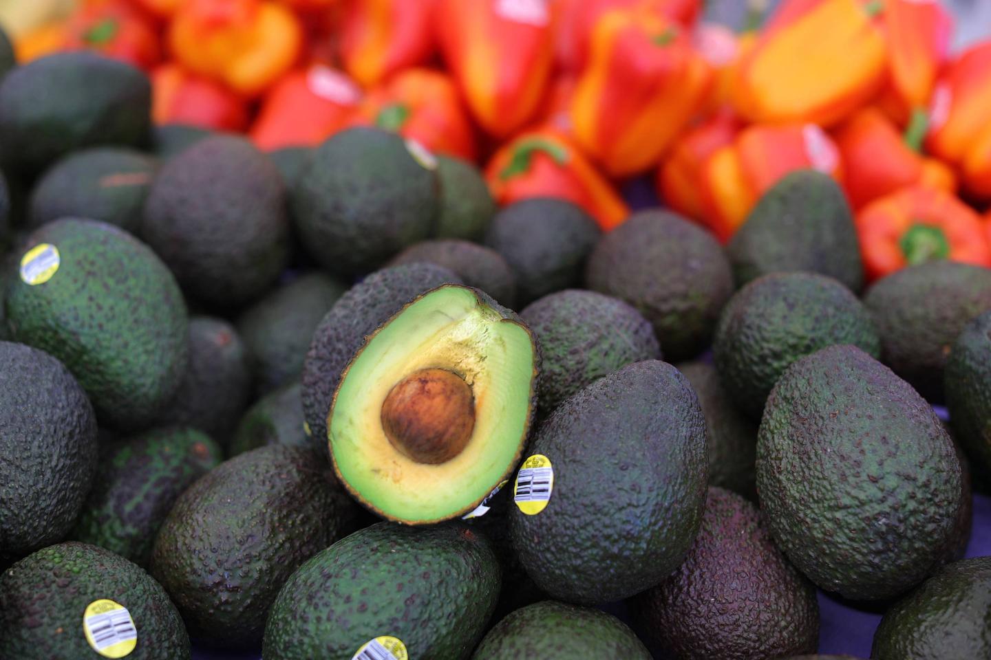 Farmers Markets In Massachusetts