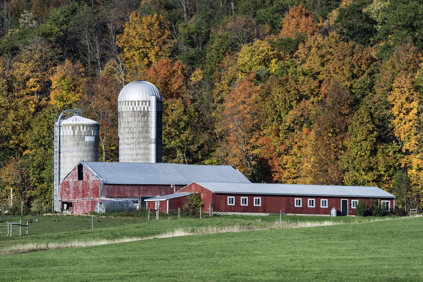 farm