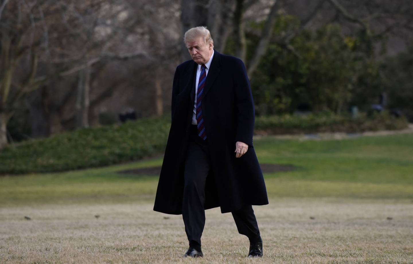 President Donald Trump is expected to sign an executive order on Monday that ensures America doesn't fall behind other nations like China when it comes to artificial intelligence technologies.