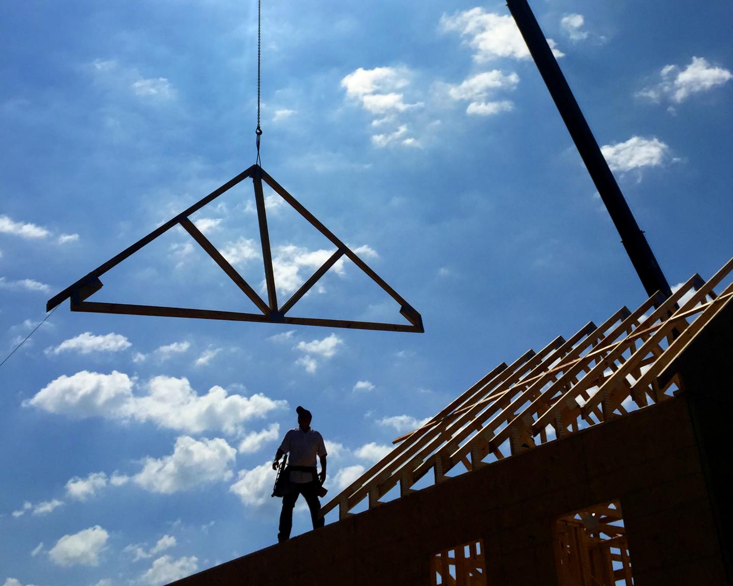 timber construction