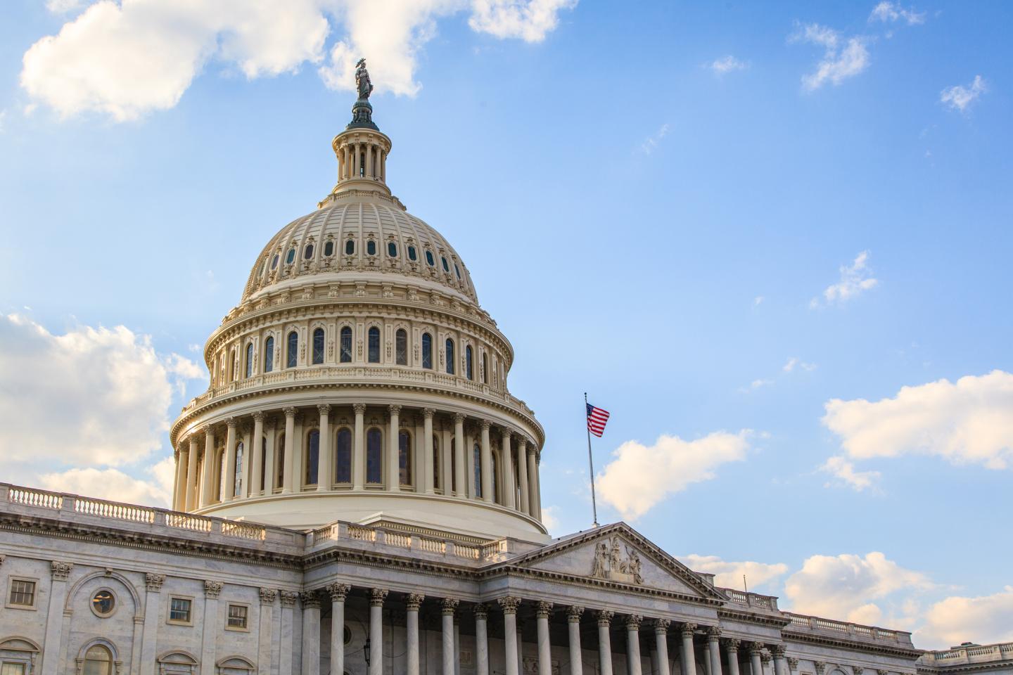 The United States Capitol