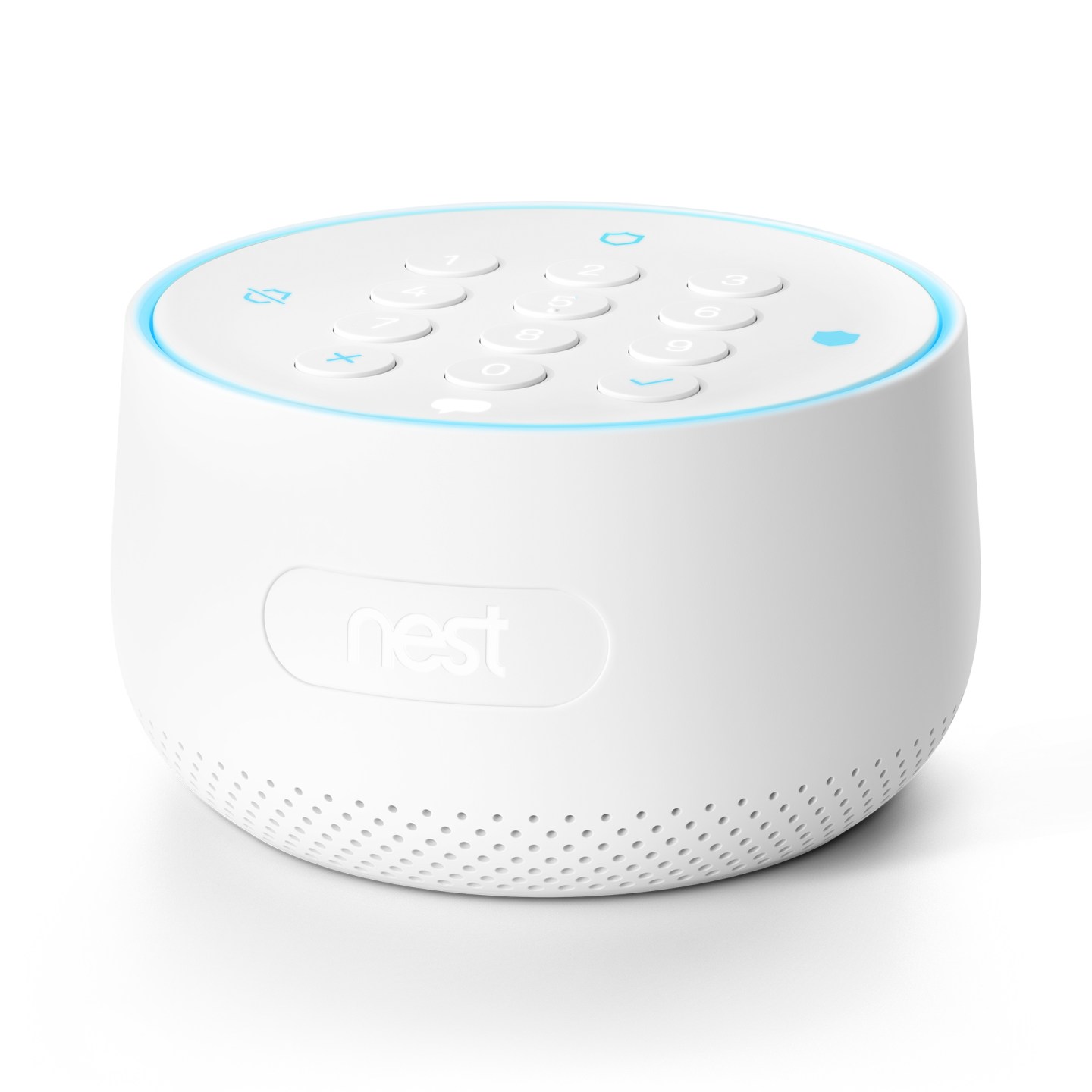 After Google confirmed a hidden microphone in Nest Secure systems, a privacy group is asking the FTC to force Google to divest itself.