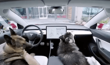 Tesla Dog Mode