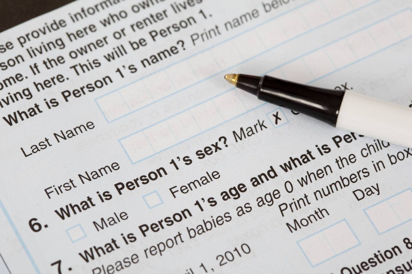 US Census Form