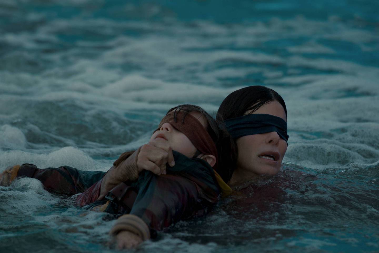 Bird Box-disaster footage