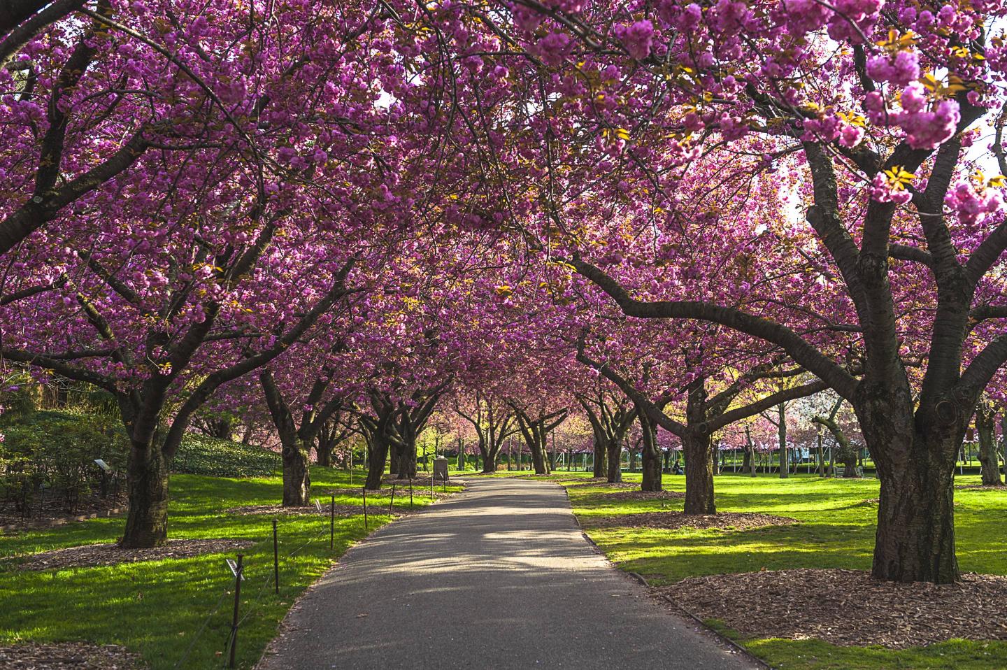 First day of Spring