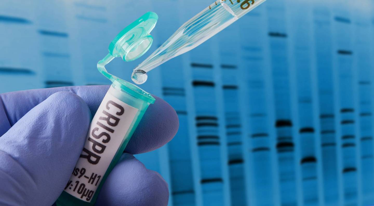 CRISPR research in laboratory