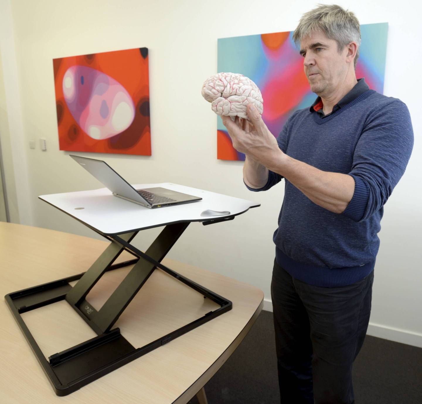 Oploft, A New Transportable Sit-stand Desk