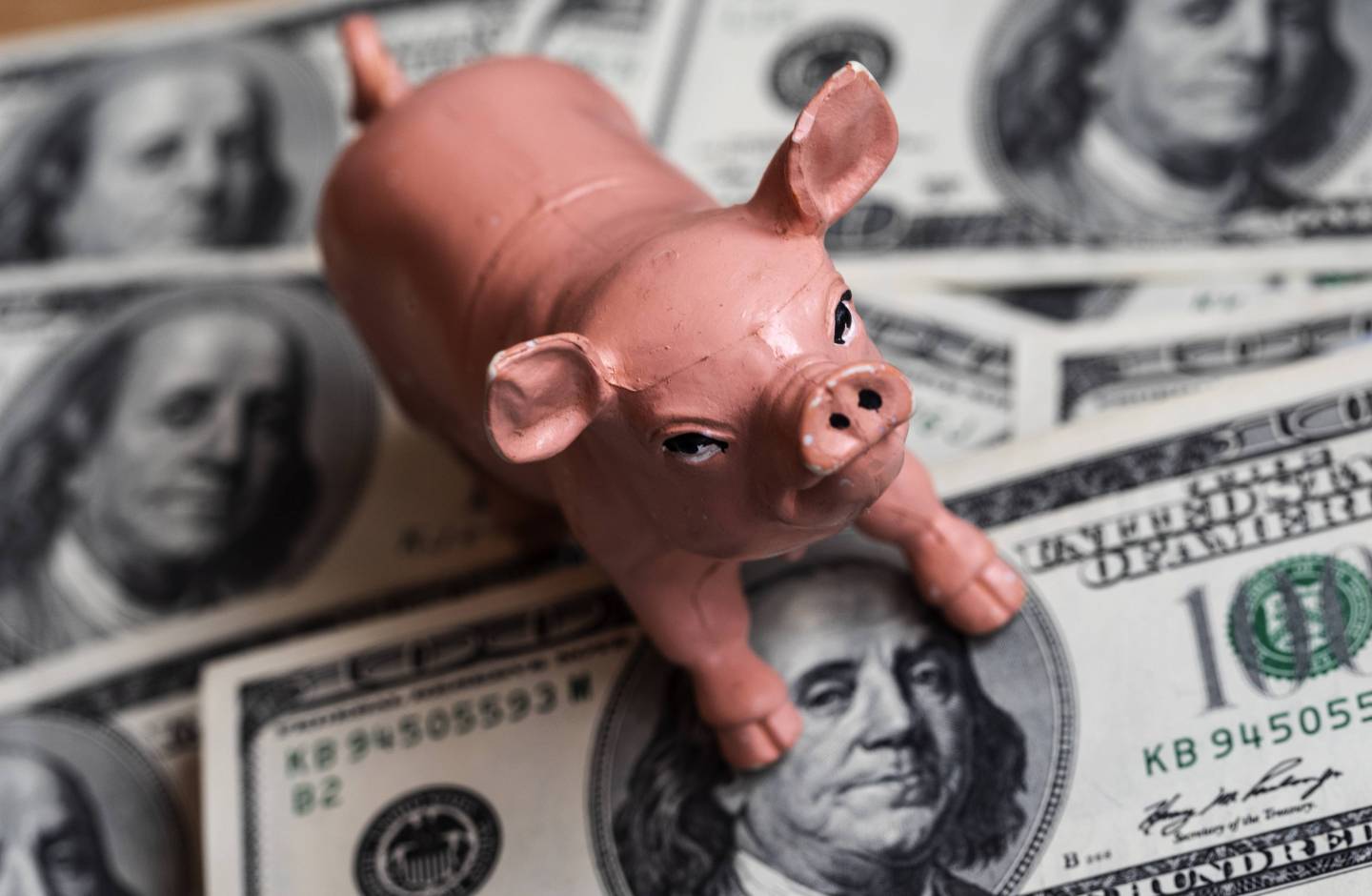 A ceramic pig seen with a background of dollar bills