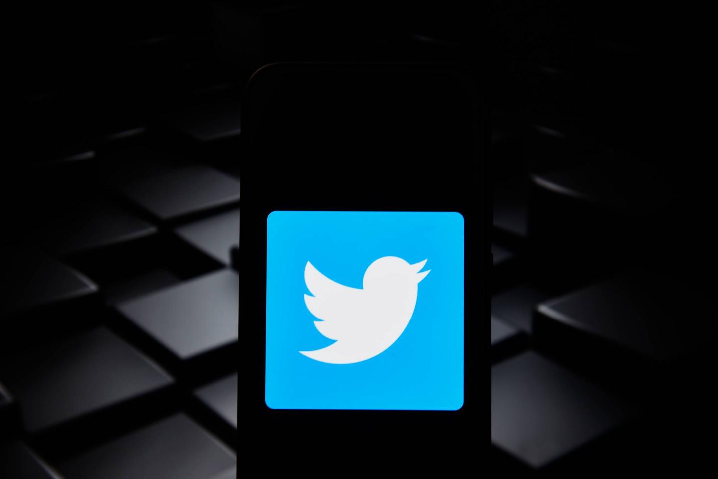 Twitter logo is seen on an android mobile phone