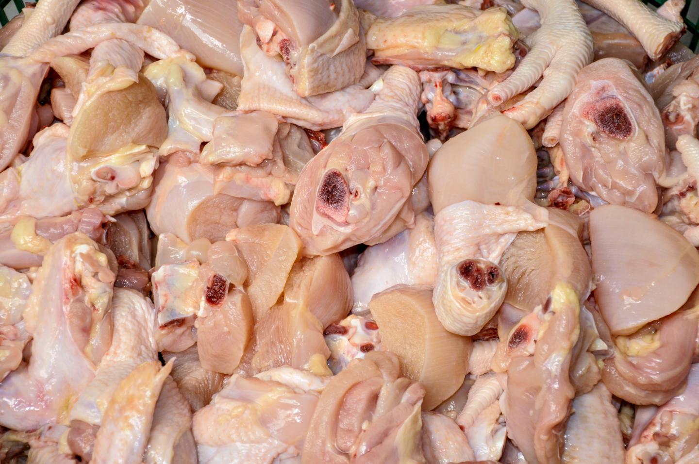 Full Frame Shot Of Fresh Chicken In Container On Table
