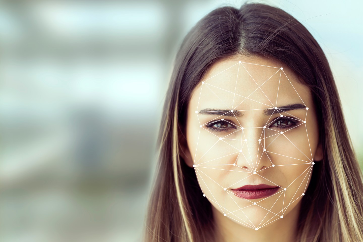 Facial Recognition System concept